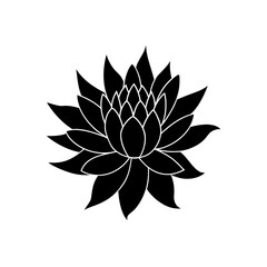 Black and white stylized lotus flower art on transparent background silhouette