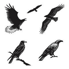 Four black bird silhouettes in flight and perched eagle hawk