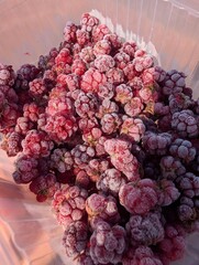 Frosty Arctic bramble Berries in a Container That Are Packed with Nutrients, Perfect for Healthy Recipes