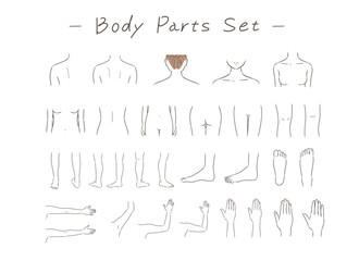女性の身体の部位のイラストセット