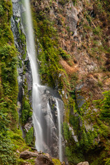 Serene waterfall in lush greenery