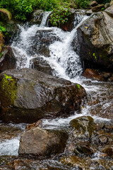 Small Waterfall in a Lush Green Forest