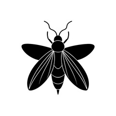 Silhouette of a flying moth on transparent background