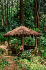 Rustic Gazebo in Lush Forest Setting