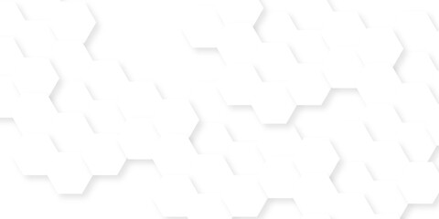 Fototapeta premium Abstract white hexagonal with hexagon polygonal pattern background. vector seamless bright white grid emboss science abstract honeycomb business background. 