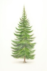 Fototapeta premium Christmas tree christmas drawing plant.