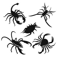 Black scorpion crab spider beetle silhouettes arachnid
