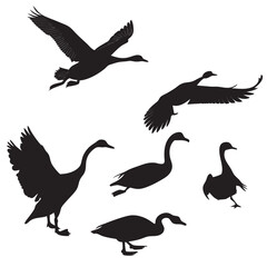 Black silhouettes of ducks and swans in flight and standing duck silhouette swan silhouette