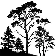 Obraz premium Black silhouettes of pine trees and foliage nature