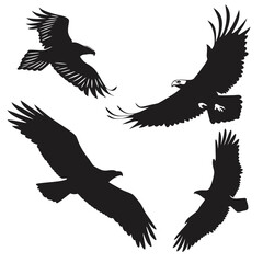 Four black eagle silhouettes in flight bird flying