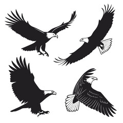 Obraz premium Four black eagles in flight and diving poses bird birds