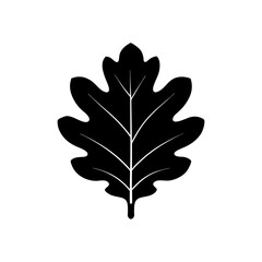 Obraz premium Illustration of a black leaf on transparent background silhouette