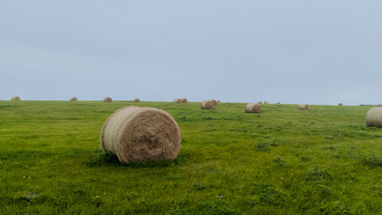 Drone aerial view of hay bales spread across a green grassy field in rural countryside setting.