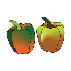 Two bell peppers with green and yellow colors isolated on white background
