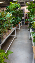 shop greenhouse interior filled pathway with abundant potted plants and flowers on shelves garden store center