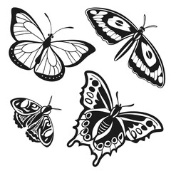 Black and white butterfly and moth silhouettes insect © Sa