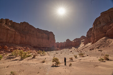 Solitary Wanderer in the expansive Desert Canyon environment in a sunny day