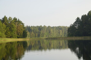 Forest lake. Early September morning. Clouds in the sky before sunrise. Reflection in the water.