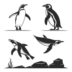 Obraz premium Four penguins in silhouette on water and rocks black and white ocean