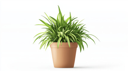 Obraz premium Vibrant green plant in simple terracotta pot, adding touch of nature to any space