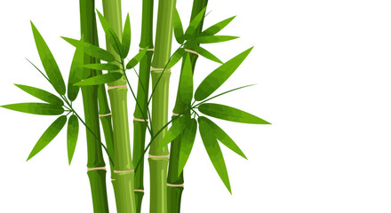 Naklejka premium Fresh Green Bamboo Stalks with Pointed Leaves Illustration