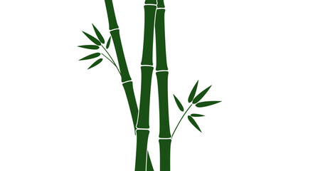 Obraz premium Two Dark Green Bamboo Stalks with Foliage Silhouette
