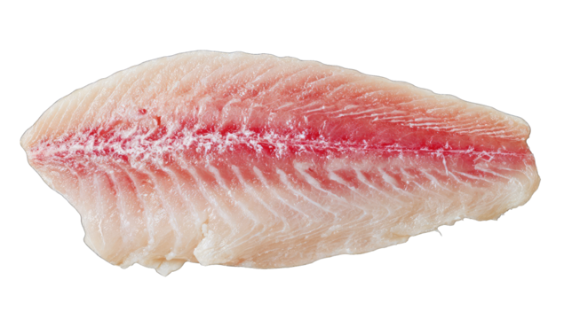 Fresh fish fillet, light pink flesh,  reddish spine