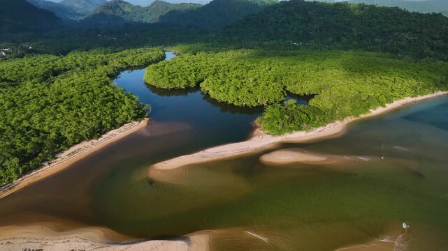 Aerial view of the river's dark waters meeting the sea's turquoise hues, contrasted by the adjacent dense green forest, Paraty, State of Rio de Janeiro, Brazil.