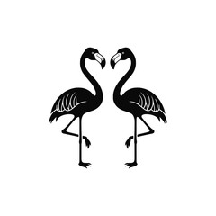 Obraz premium Flamingo vector. Beautiful birds 