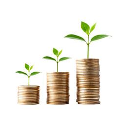 Three stacks of gold coins with small green plants growing out of them on a black background