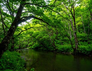 Lush green forest stream