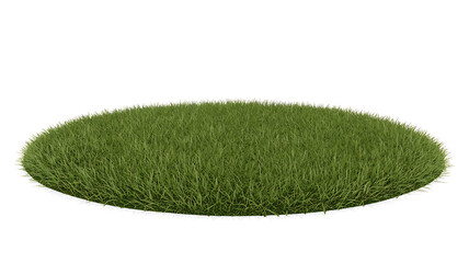 Lush green circular patch of grass texture close-up natural organic surface detail