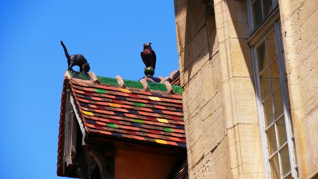 Sculpture d&rsquo;un chat et d&rsquo;une chouette sur le toit typique d&rsquo;une ancienne maison de Dijon en C&ocirc;te-d&rsquo;Or France Europe