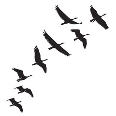 Geese flying in formation birds silhouette