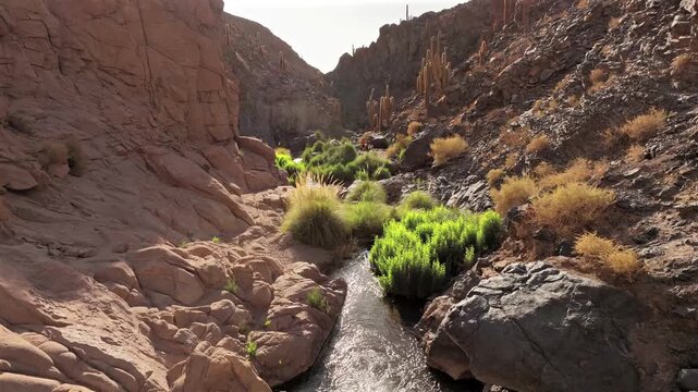 Aerial view of Guatin Canyon, where the arid landscape contrasts vibrantly with the lush greenery and rocky terrain, Ca&ntilde;on de Guatin, San Pedro de Atacama, Chile.
