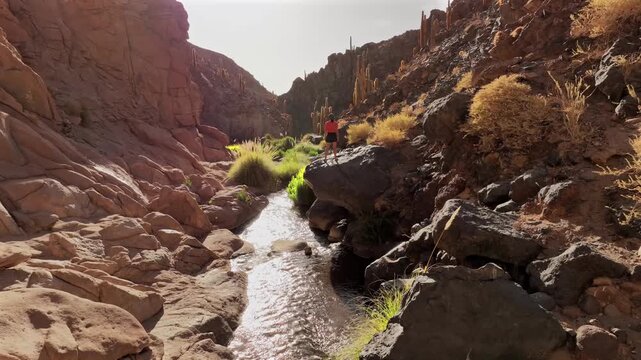 Aerial view of the arid Guatin Canyon where a person stands on rocks near a stream, contrasting with the desert landscape, Ca&ntilde;on de Guatin, San Pedro de Atacama, Chile.