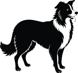  a dog silhouette on transparent backg