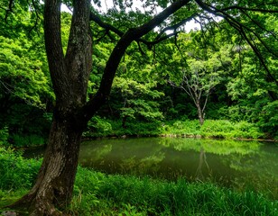 Obraz premium Lush forest reflects in a tranquil pond
