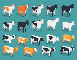 Isometric 3d vector set of cows.