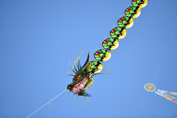 Dragon kite in the sky