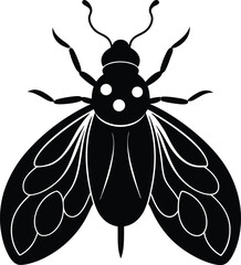  Beetle vector on transparent background