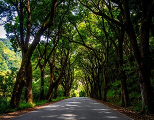 Naklejka premium Lush forest road