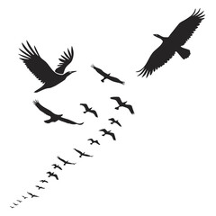 Flock of birds in flight flying silhouette