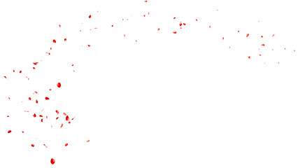 赤いバラの花びらの乱舞：背景透過	