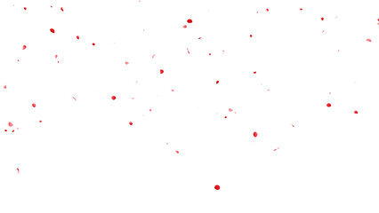 赤いバラの花びらの乱舞：背景透過	