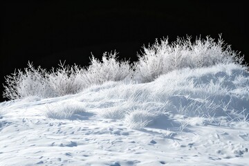 Snowy winter landscape with frost