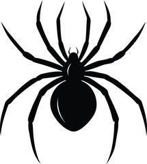 spider on transparent background