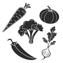 Vegetable icons carrot pumpkin broccoli chili onion