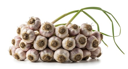 Freshly harvested garlic bulbs bundled together for healthy cooking, adding authentic flavor to your culinary creations for a taste of nature's goodness