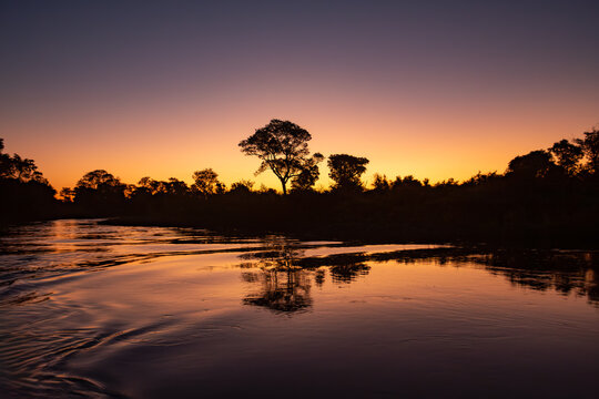 Breathtaking landscape of the Pantanal at dusk, with silhouettes of trees reflected on the water. Corumba, Mato Grosso do Sul, Brazil. Brazilian nature and wilderness.